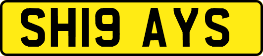 SH19AYS