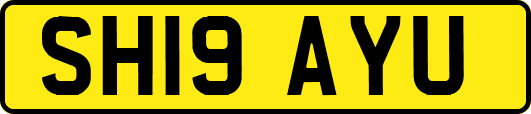 SH19AYU