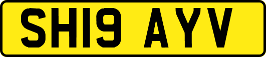 SH19AYV