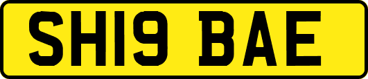 SH19BAE