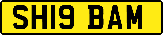 SH19BAM