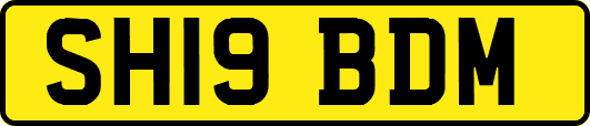 SH19BDM