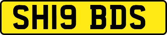 SH19BDS