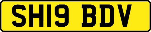 SH19BDV