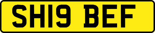 SH19BEF