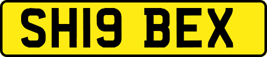 SH19BEX