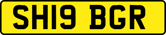 SH19BGR