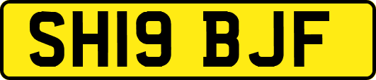 SH19BJF