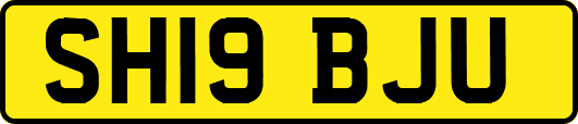 SH19BJU