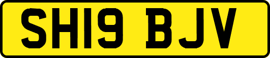 SH19BJV