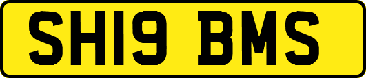 SH19BMS