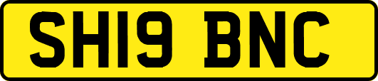 SH19BNC