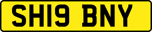 SH19BNY