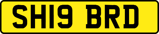 SH19BRD
