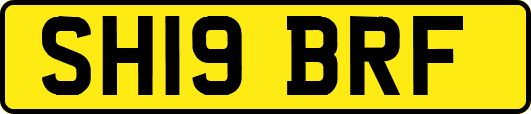 SH19BRF