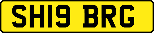 SH19BRG