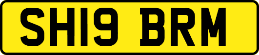 SH19BRM