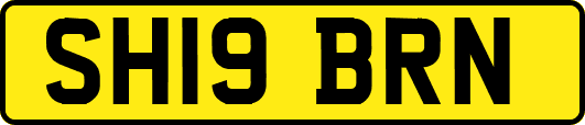 SH19BRN
