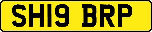 SH19BRP