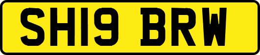 SH19BRW
