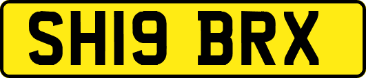 SH19BRX