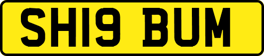SH19BUM