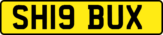 SH19BUX