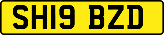 SH19BZD