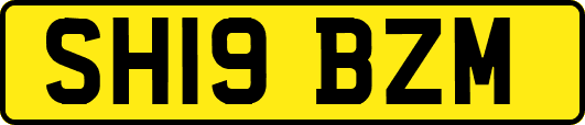 SH19BZM