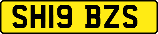SH19BZS