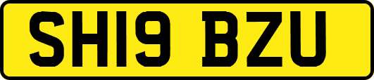 SH19BZU