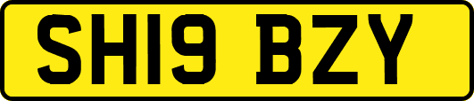 SH19BZY
