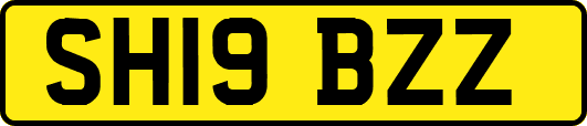 SH19BZZ
