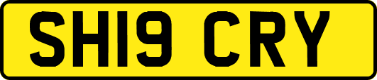SH19CRY