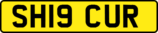 SH19CUR