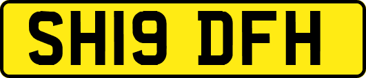 SH19DFH