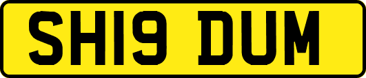 SH19DUM