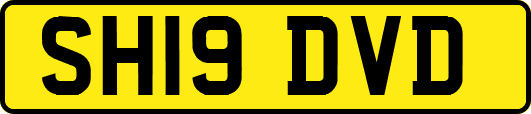 SH19DVD