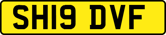 SH19DVF