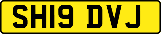 SH19DVJ