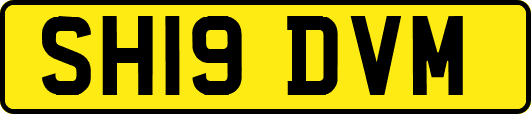 SH19DVM