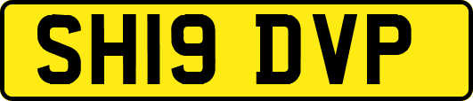 SH19DVP