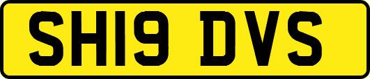SH19DVS