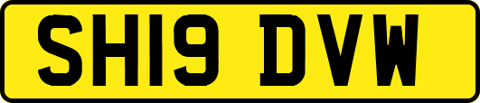 SH19DVW