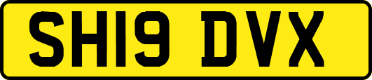 SH19DVX