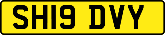 SH19DVY