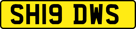 SH19DWS