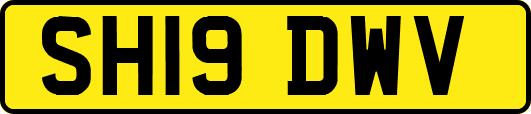 SH19DWV