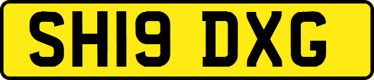 SH19DXG