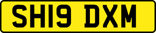 SH19DXM